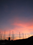 SX24547 Sunset over sailboats and windmill in marina at Brouwershaven.jpg